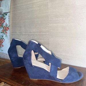 Kenneth Cole Blue Suede Shoes